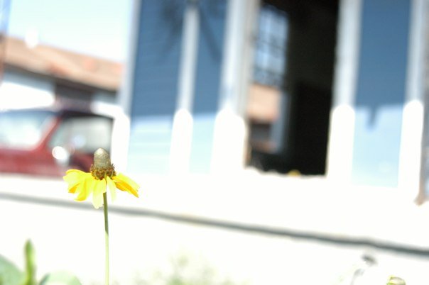 25890_567205653291_1729594_n