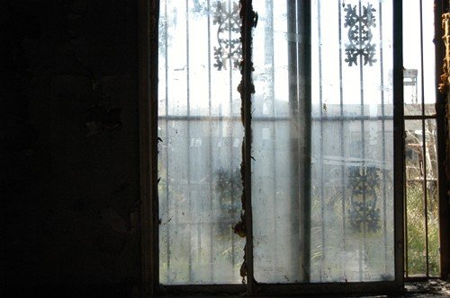 40_508259746361_3735_n