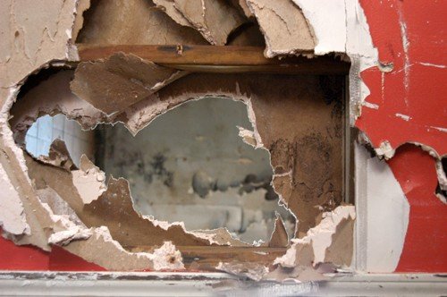 40_508259766321_5380_n