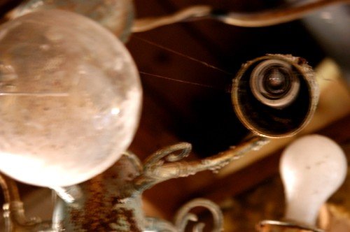 40_508259771311_5780_n