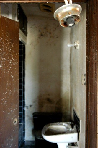 40_508259781291_6577_n