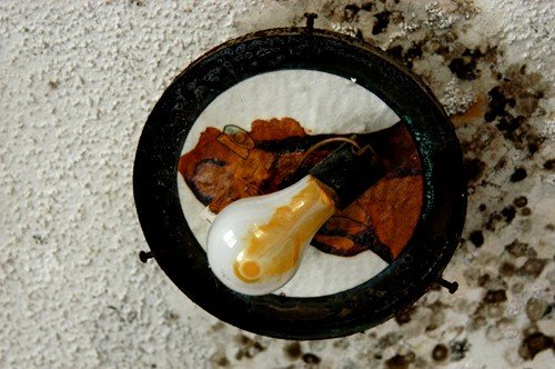 40_508259801251_8230_n