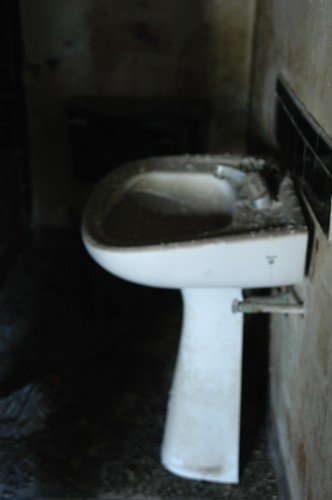 40_508259836181_1084_n