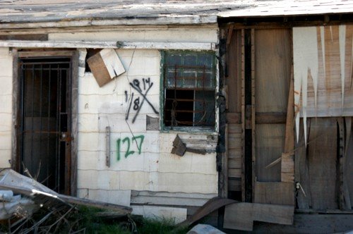 40_508259901051_6526_n