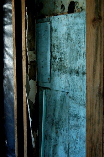 40_508259930991_9055_n