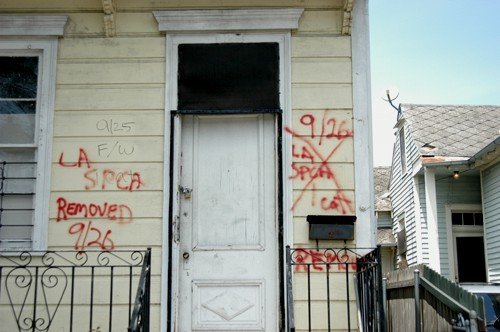 40_508259935981_9498_n