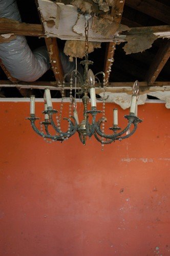 40_508259945961_360_n