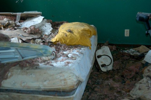 40_508259955941_1206_n