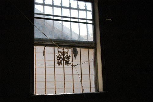 40_508260000851_5174_n