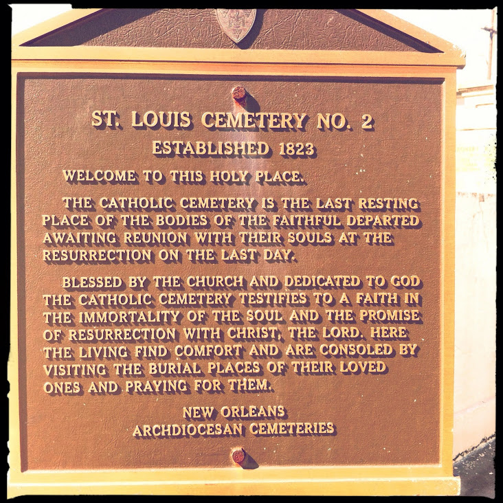 IMAGE_76FF7E1F-BCC3-42DD-918E-BD3CFBB35423