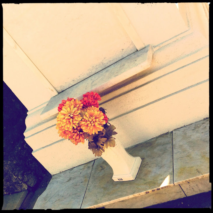 IMAGE_C8D3FD18-2866-4C7F-A95A-A3A63735E3CD