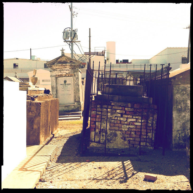 IMAGE_D8306038-550A-4CB3-B140-14B41EDBB94C