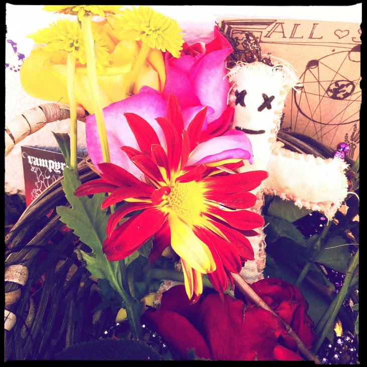 IMAGE_EFF2155E-E7D6-4D84-A106-4A3F3AC2156C