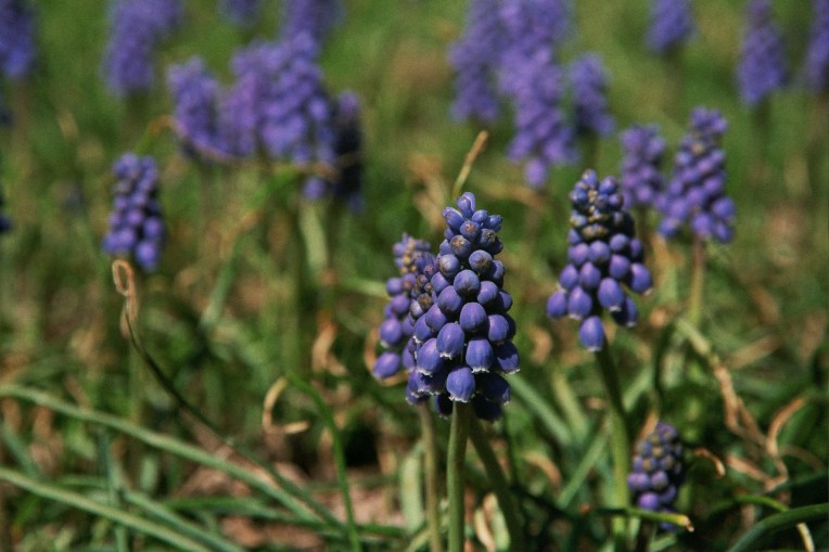 Autosave-File vom d-lab2/3 der AgfaPhoto GmbH