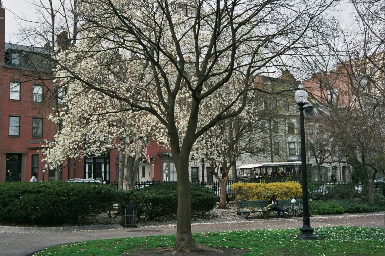 Autosave-File vom d-lab2/3 der AgfaPhoto GmbH