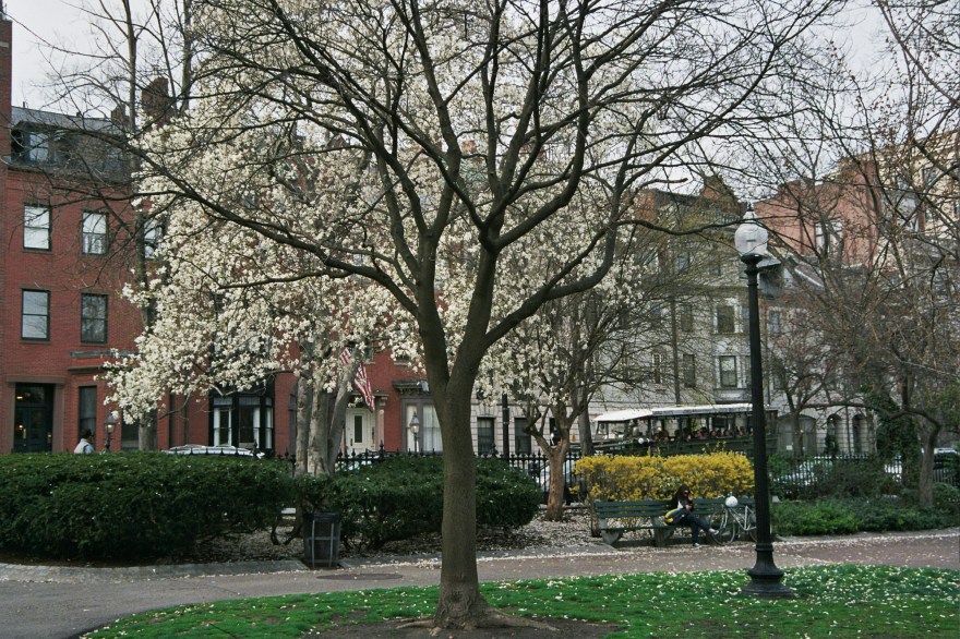 Autosave-File vom d-lab2/3 der AgfaPhoto GmbH