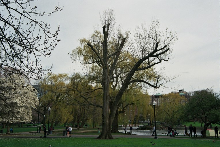 Autosave-File vom d-lab2/3 der AgfaPhoto GmbH