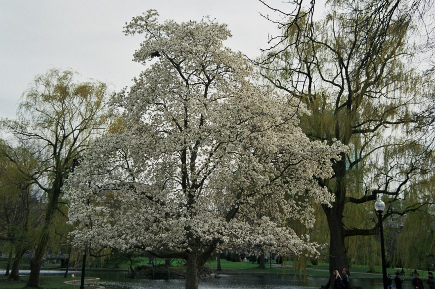 Autosave-File vom d-lab2/3 der AgfaPhoto GmbH