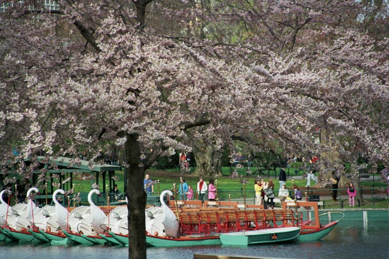 Autosave-File vom d-lab2/3 der AgfaPhoto GmbH