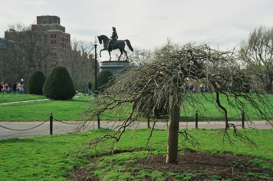 Autosave-File vom d-lab2/3 der AgfaPhoto GmbH