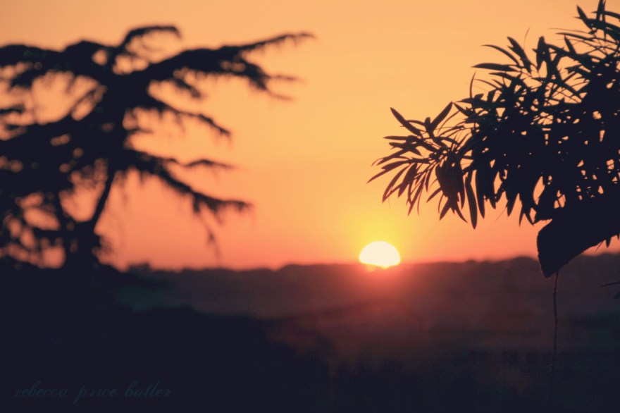 tumblr_m2cgkvHm3U1qznevxo1_1280