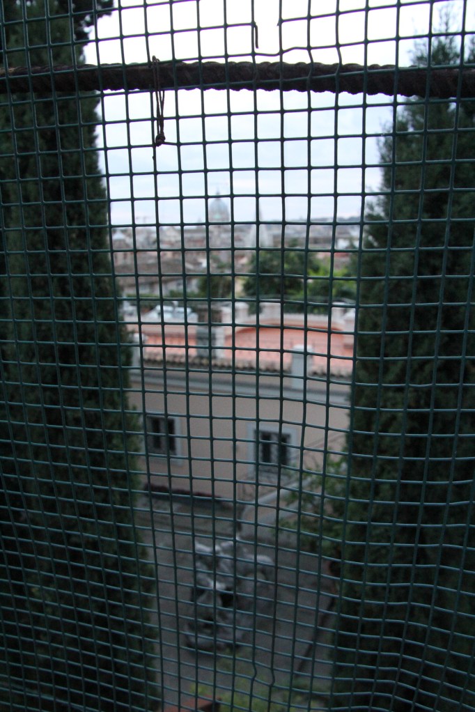 tumblr_mfr2b4FQ7n1qznevxo1_1280