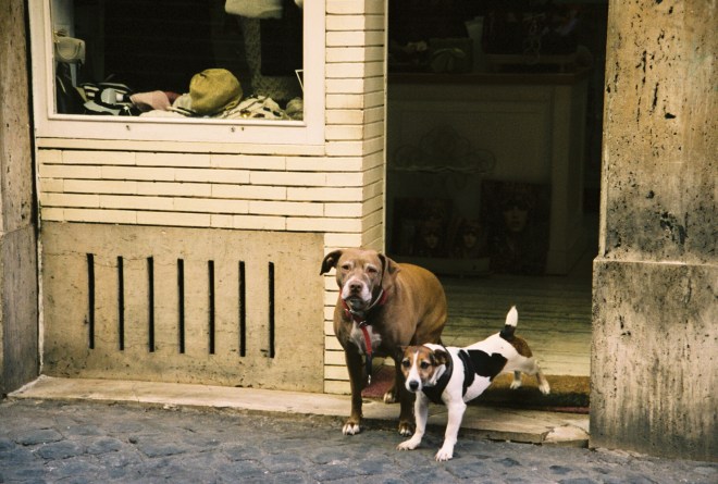 0500158_0500158-R2-059-28