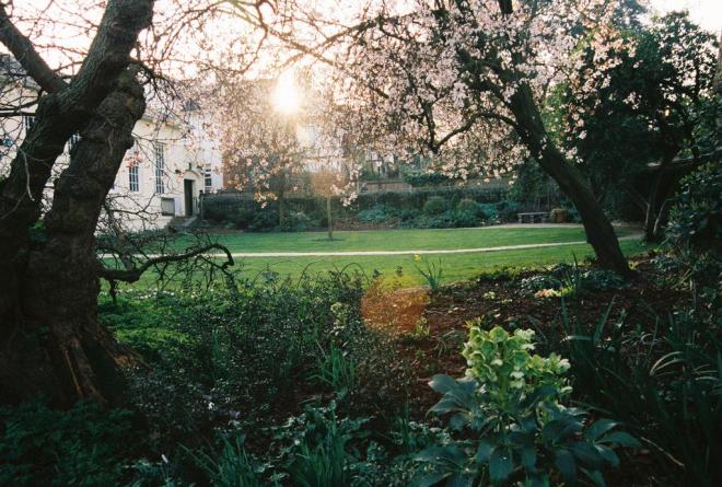 B3-31pGIYAAu66l.jpg-large