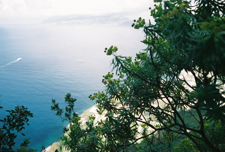 Featured Image -- 2876