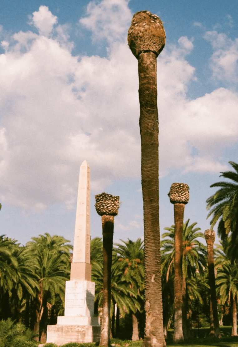 Screen Shot 2019-03-16 at 4.46.23 PM