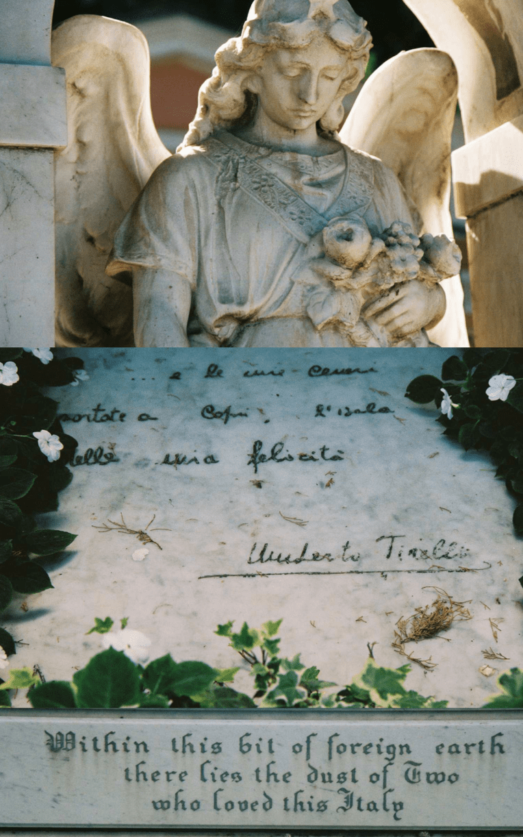 Screen Shot 2019-03-17 at 5.27.41 PM