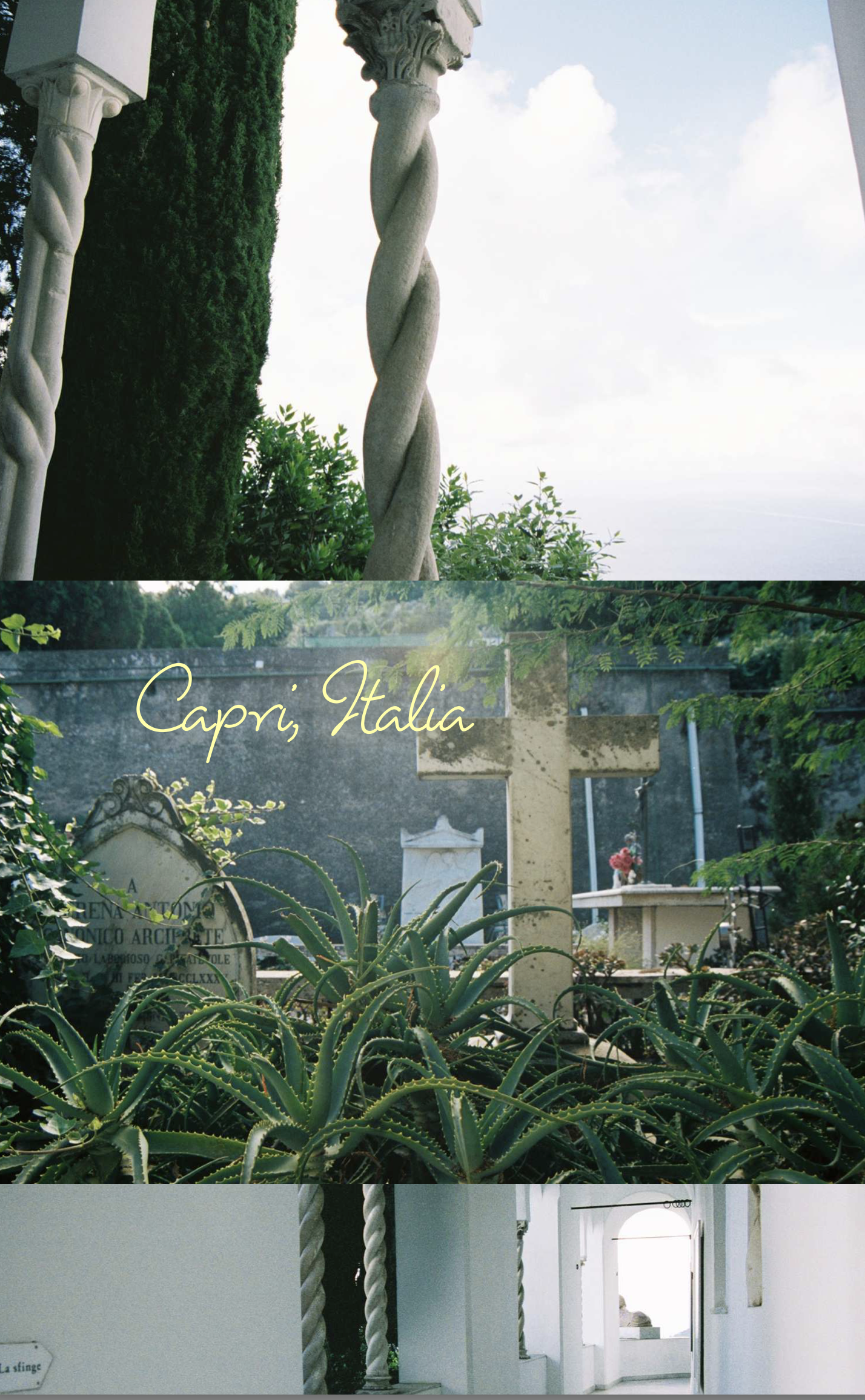 Screen Shot 2019-03-17 at 5.28.00 PM